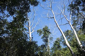 Cat Tien Jungle Lodge