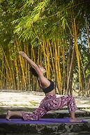 Cat Tien Jungle Lodge