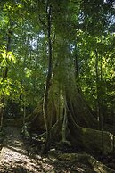 Cat Tien Jungle Lodge