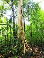 Cat Tien Jungle Lodge