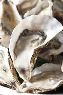 JW Marriott Hotel Beijing Central