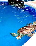 Hotel Pousada Tatuapara