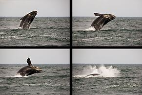 Hotel Península Valdés