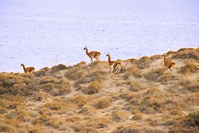 Hotel Península Valdés