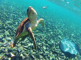 Victoria House Resort & Spa