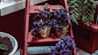 Hotel Maison Saintonge