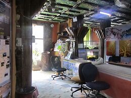 Islandfront Cottages