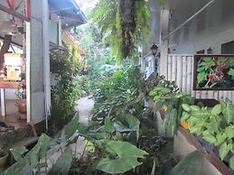 Islandfront Cottages