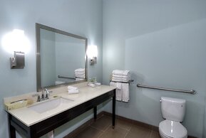 Holiday Inn Express & Suites Austin South by IHG