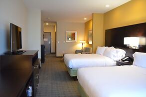 Holiday Inn Express & Suites Austin South by IHG