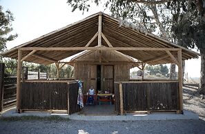 Avra Beach Resort Hotel & Bungalows - All Inclusive