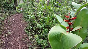 Los Pinos Cabanas y Jardines