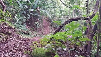 Los Pinos Cabanas y Jardines