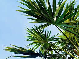 The Diplomat Boutique Hotel