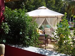 Damia Hotel
