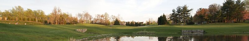 Executive Inn And Suites