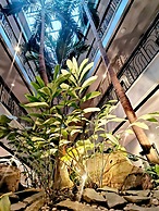 Casa Leticia Business Inn