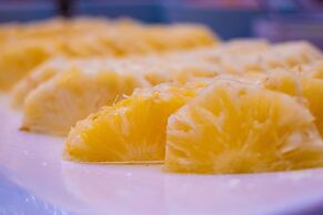 Thermas All Inclusive Resort Poços de Caldas  By Nacional Inn