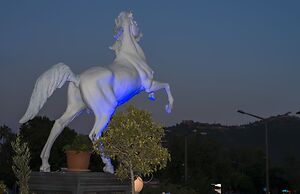 Taç Premier Hotel & Spa