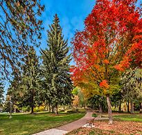 Pioneer Park Rentals