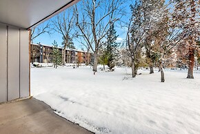 Pioneer Park Rentals