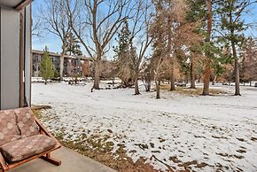 Pioneer Park Rentals