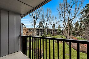 Pioneer Park Rentals