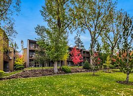 Pioneer Park Rentals