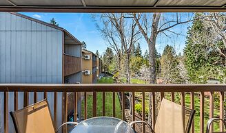 Pioneer Park Rentals