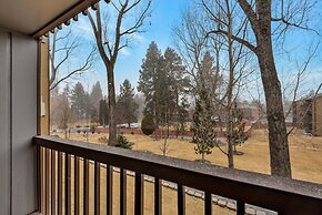 Pioneer Park Rentals