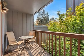 Pioneer Park Rentals