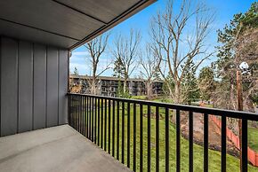 Pioneer Park Rentals