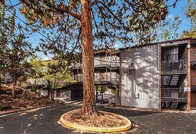 Pioneer Park Rentals