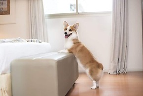 San Diego Suítes Veredas Sete Lagoas