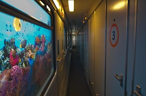 BaseCamp Bonn - Hostel