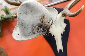 BaseCamp Bonn - Hostel