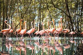 Bastión Luxury Hotel