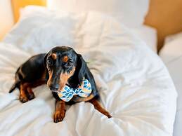 ibis Bengaluru City Centre Hotel