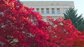 Hotel Lifort Sapporo