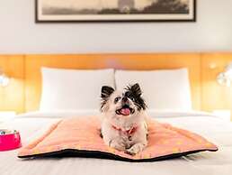 ibis Chennai SIPCOT Hotel