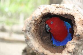 Holiday Inn Express Port Moresby by IHG