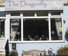 The Dragonfly
