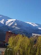 Complexe Collier D'Ambre