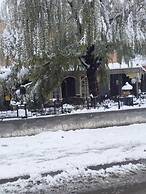 Complexe Collier D'Ambre