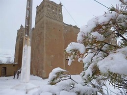 Complexe Collier D'Ambre