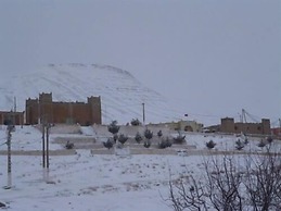 Complexe Collier D'Ambre