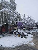 Complexe Collier D'Ambre