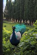 Amphitryon City Hotel