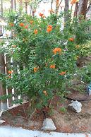 Résidence Tramariccia