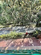 Sea Hawk Hill Resort - A Luxury Boutique Resort